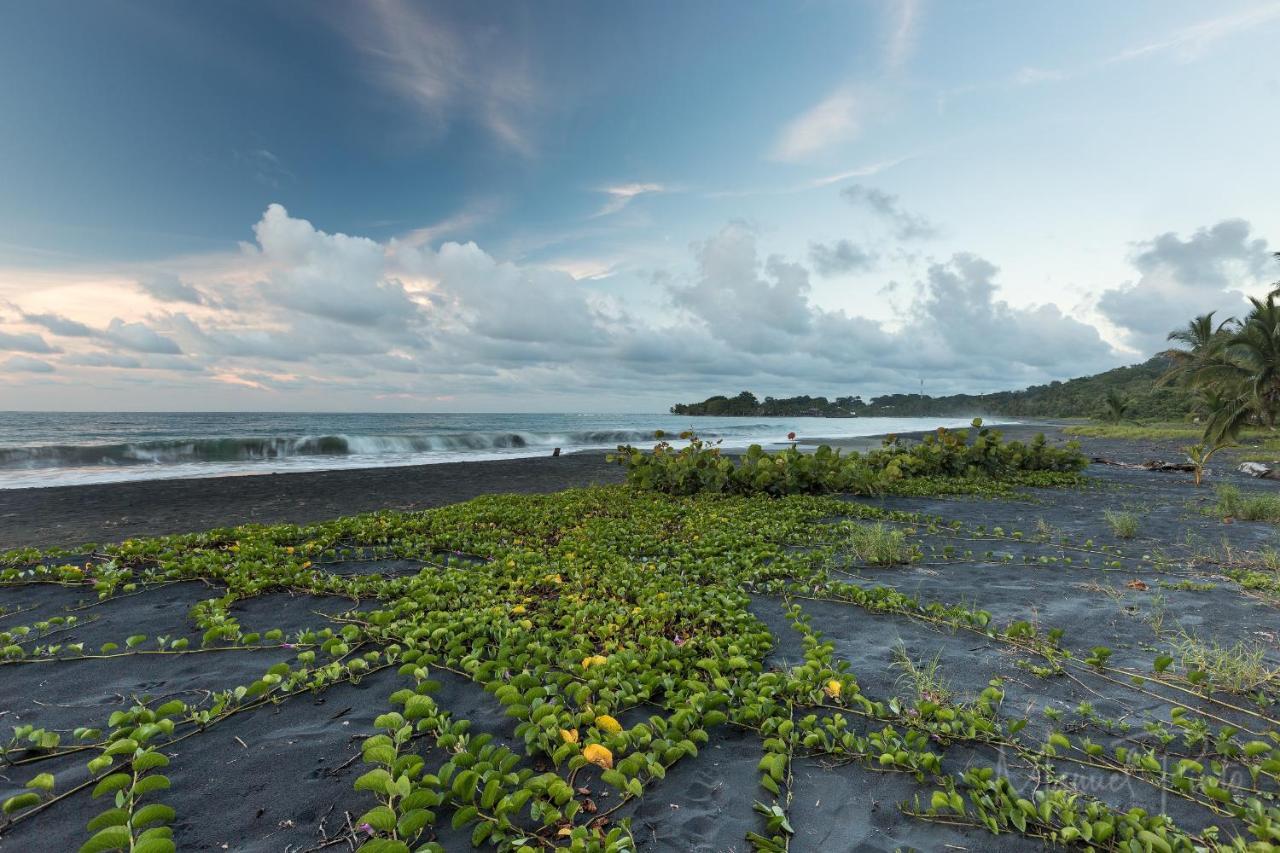 Puerto Viejo Club, Villas & Pool Puerto Viejo de Talamanca المظهر الخارجي الصورة