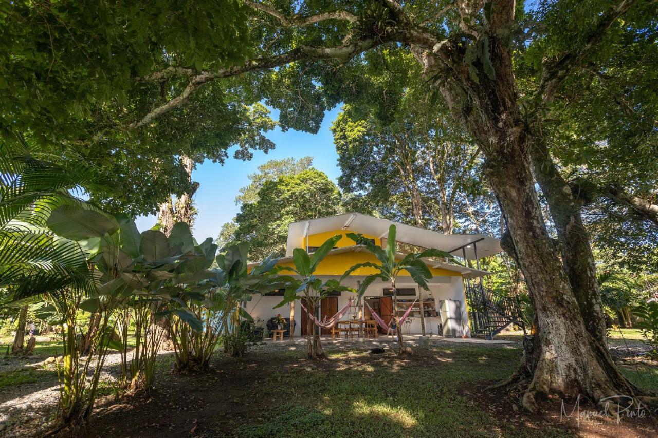 Puerto Viejo Club, Villas & Pool Puerto Viejo de Talamanca المظهر الخارجي الصورة