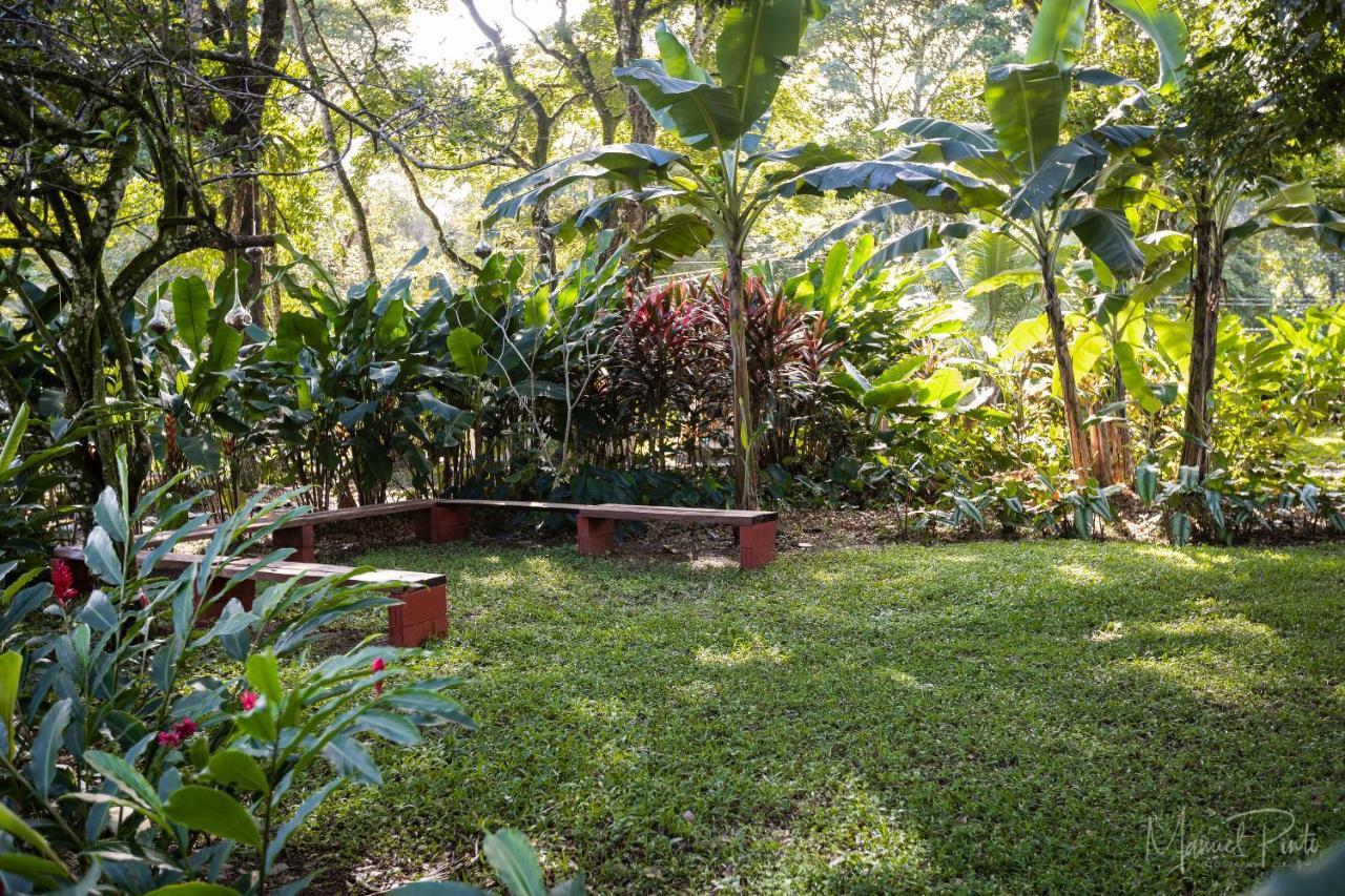 Puerto Viejo Club, Villas & Pool Puerto Viejo de Talamanca المظهر الخارجي الصورة