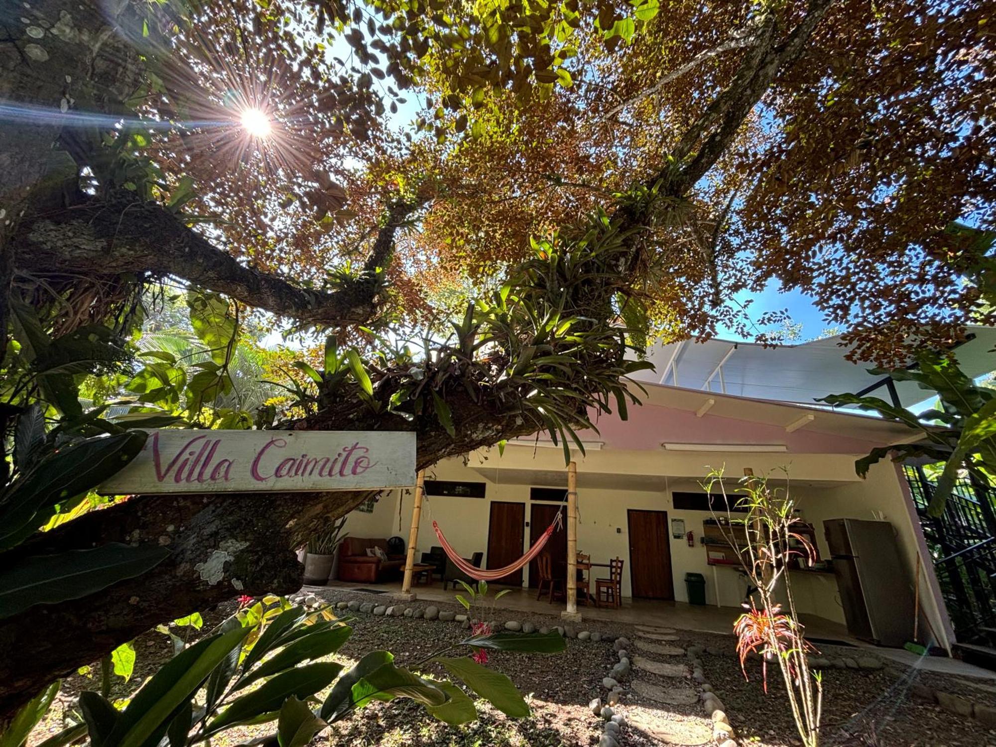 Puerto Viejo Club, Villas & Pool Puerto Viejo de Talamanca المظهر الخارجي الصورة